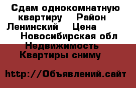 Сдам однокомнатную квартиру. › Район ­ Ленинский  › Цена ­ 15 000 - Новосибирская обл. Недвижимость » Квартиры сниму   